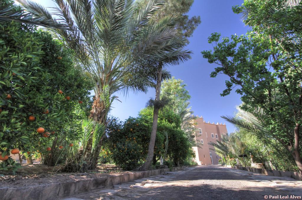 Kasbah Baha Baha Bed and Breakfast Nkob Eksteriør billede